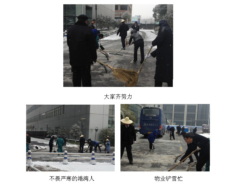 正版49图库免费打开