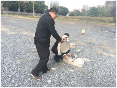 正版49图库免费打开