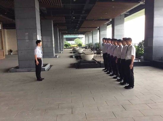 正版49图库免费打开