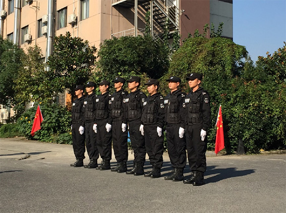 正版49图库免费打开