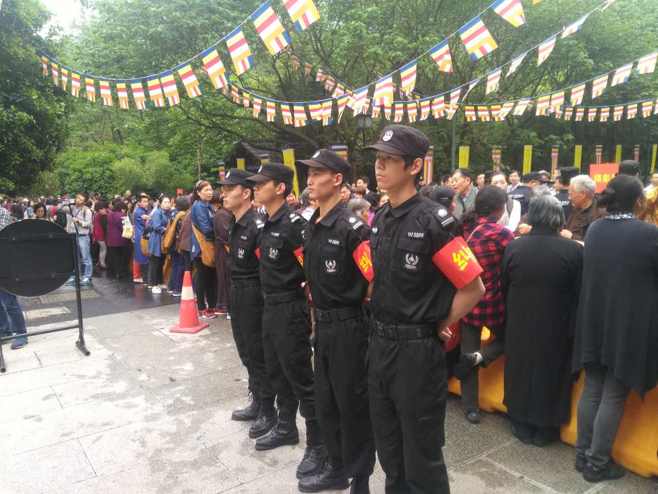 正版49图库免费打开