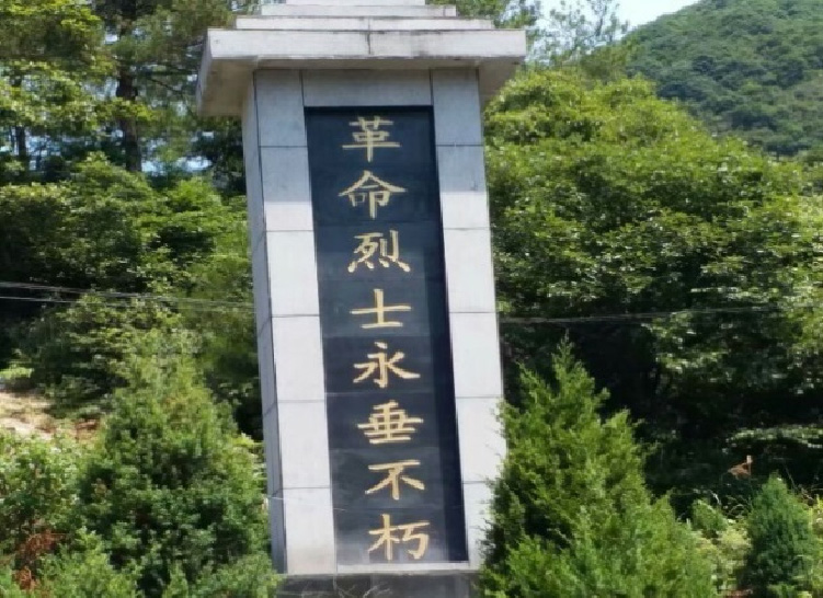 正版49图库免费打开