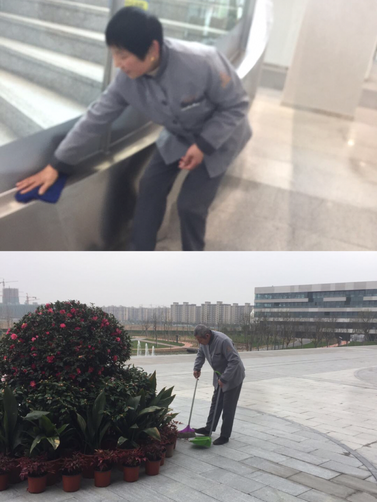 正版49图库免费打开