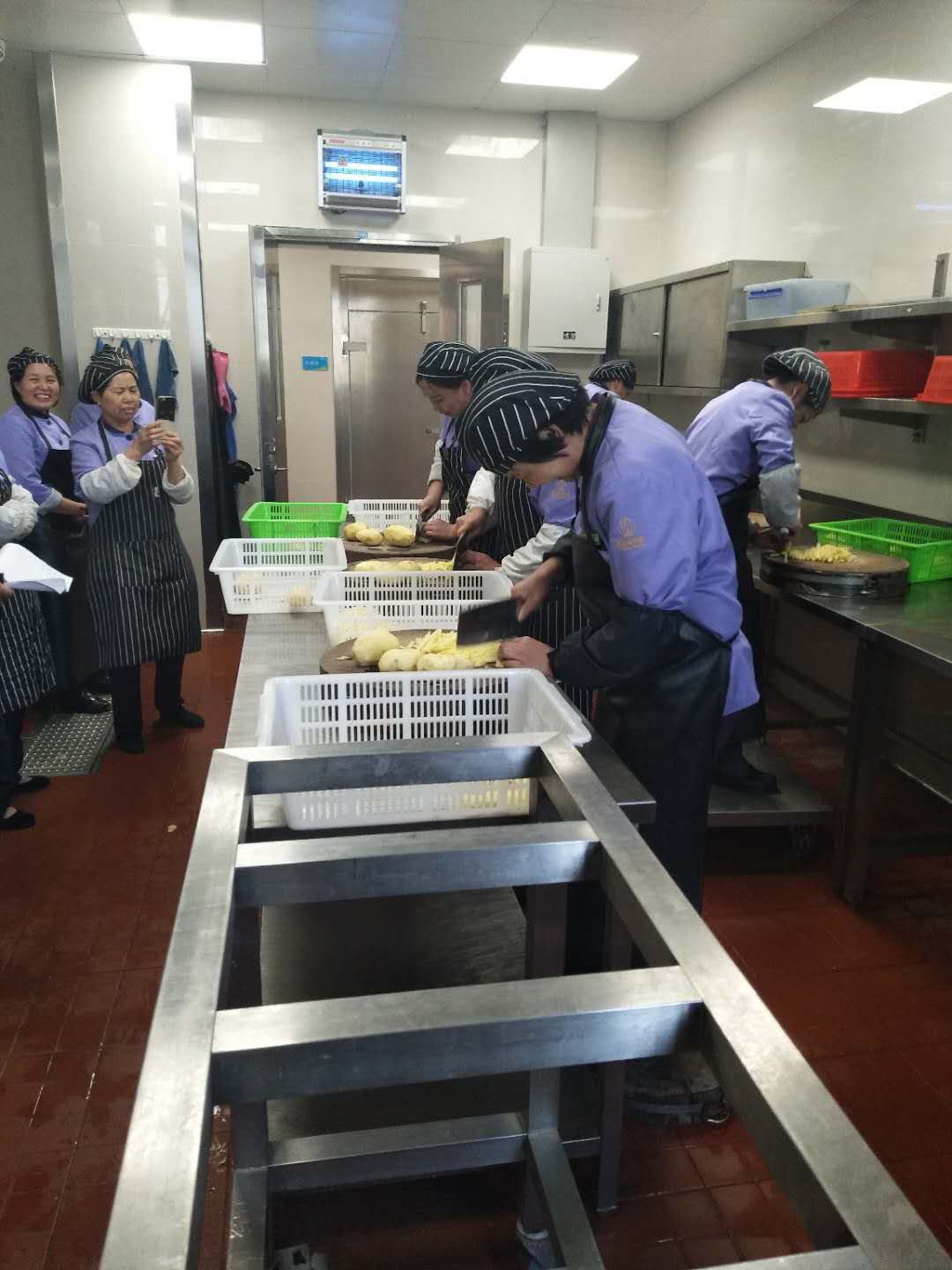 正版49图库免费打开