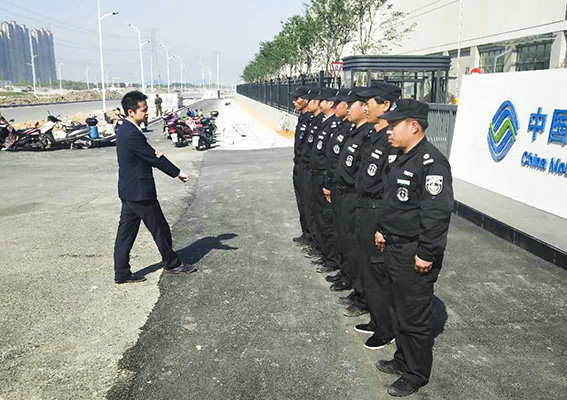 正版49图库免费打开