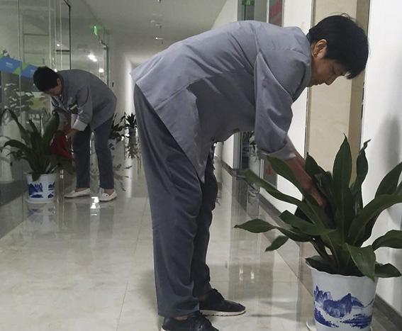 正版49图库免费打开
