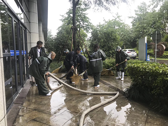 正版49图库免费打开
