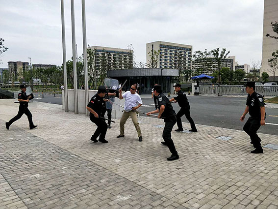 正版49图库免费打开