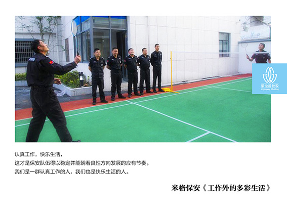 正版49图库免费打开