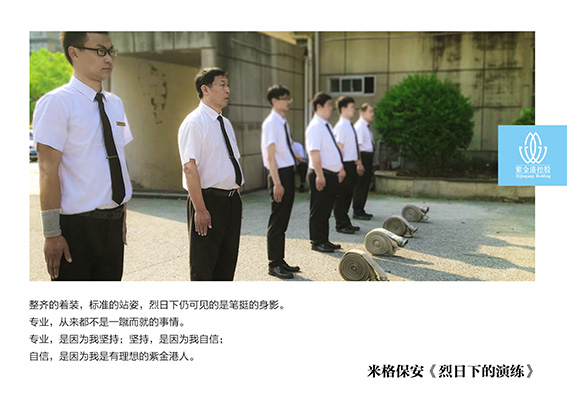 正版49图库免费打开