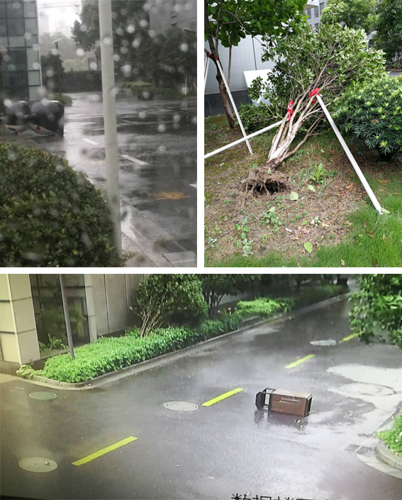 正版49图库免费打开