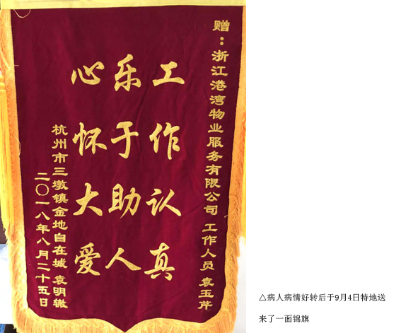 正版49图库免费打开
