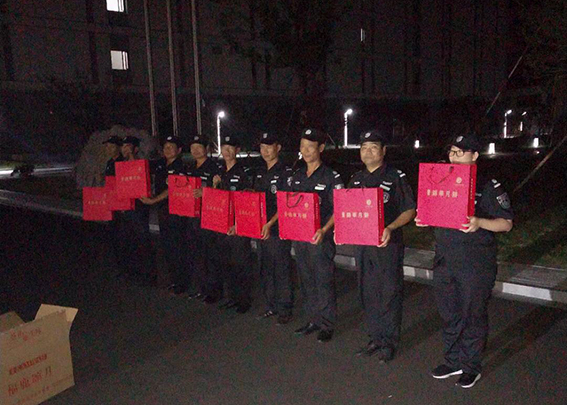 正版49图库免费打开