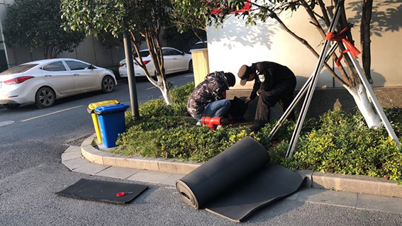 正版49图库免费打开
