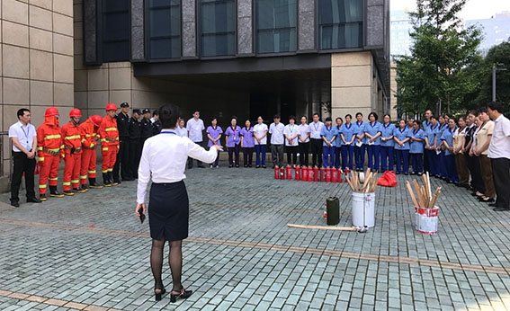 正版49图库免费打开