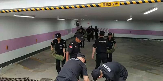 正版49图库免费打开