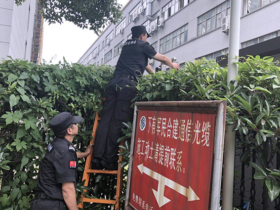 正版49图库免费打开