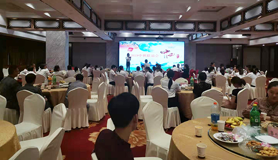 正版49图库免费打开