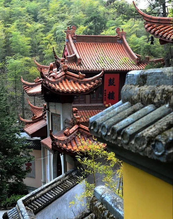 微信图片_20201029171459.jpg